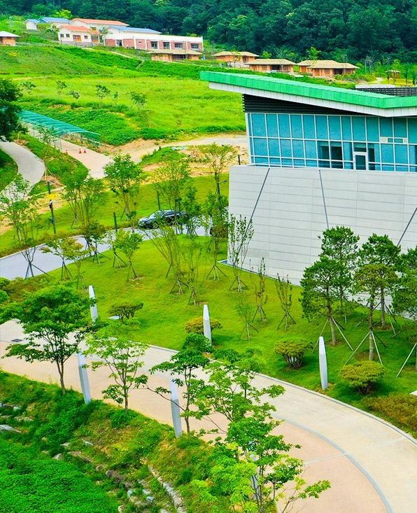 하늘에서 본 박물관 왼쪽 — 잔디밭을 끼고 굽어 도는 넓은 길, 길가의 어린 나무와 흰 기둥, 녹색 지붕선 아래 유리 띠와 회색 벽, 뒤 언덕의 낮은 건물들과 숲